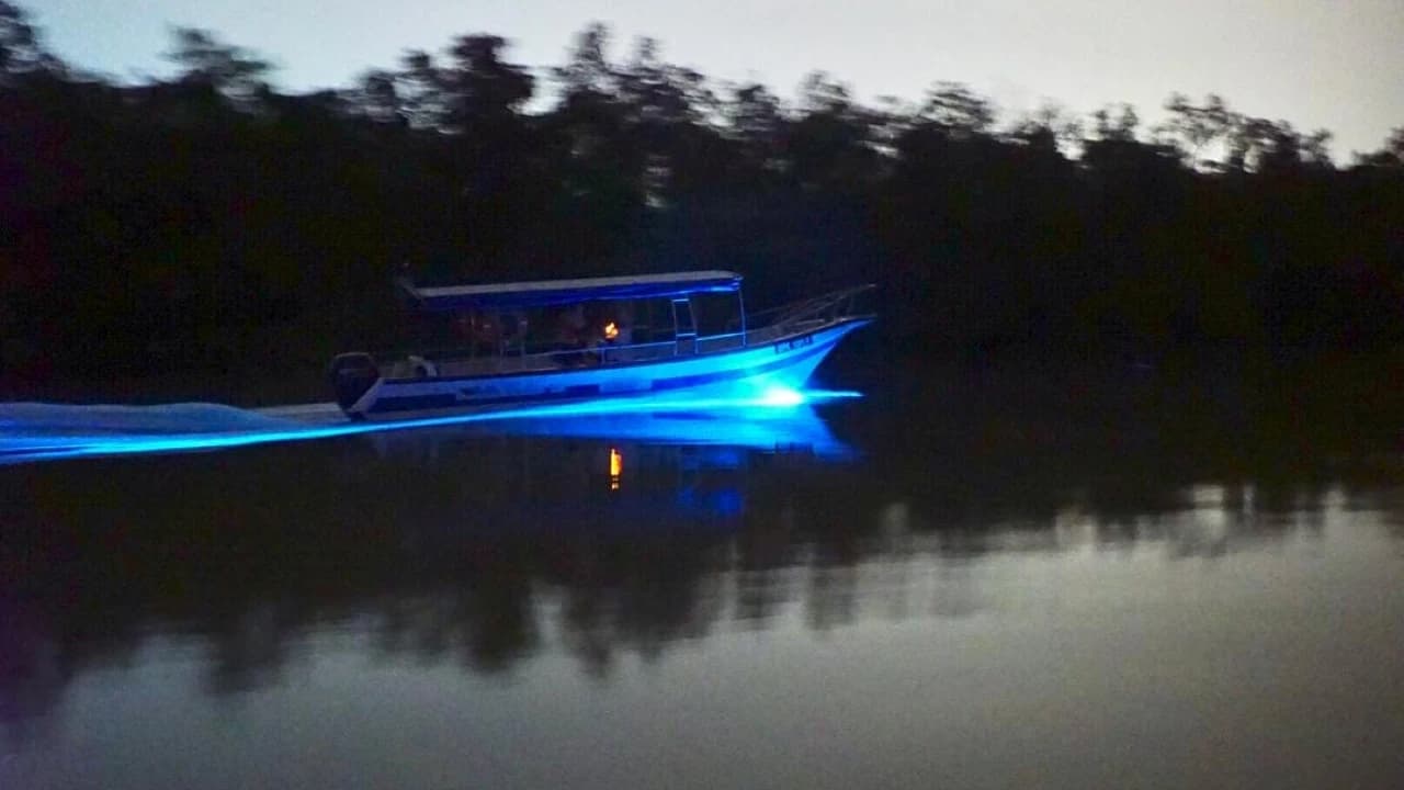 Blue Tears Boat Cruise in Kuala Selangor - Photo 4