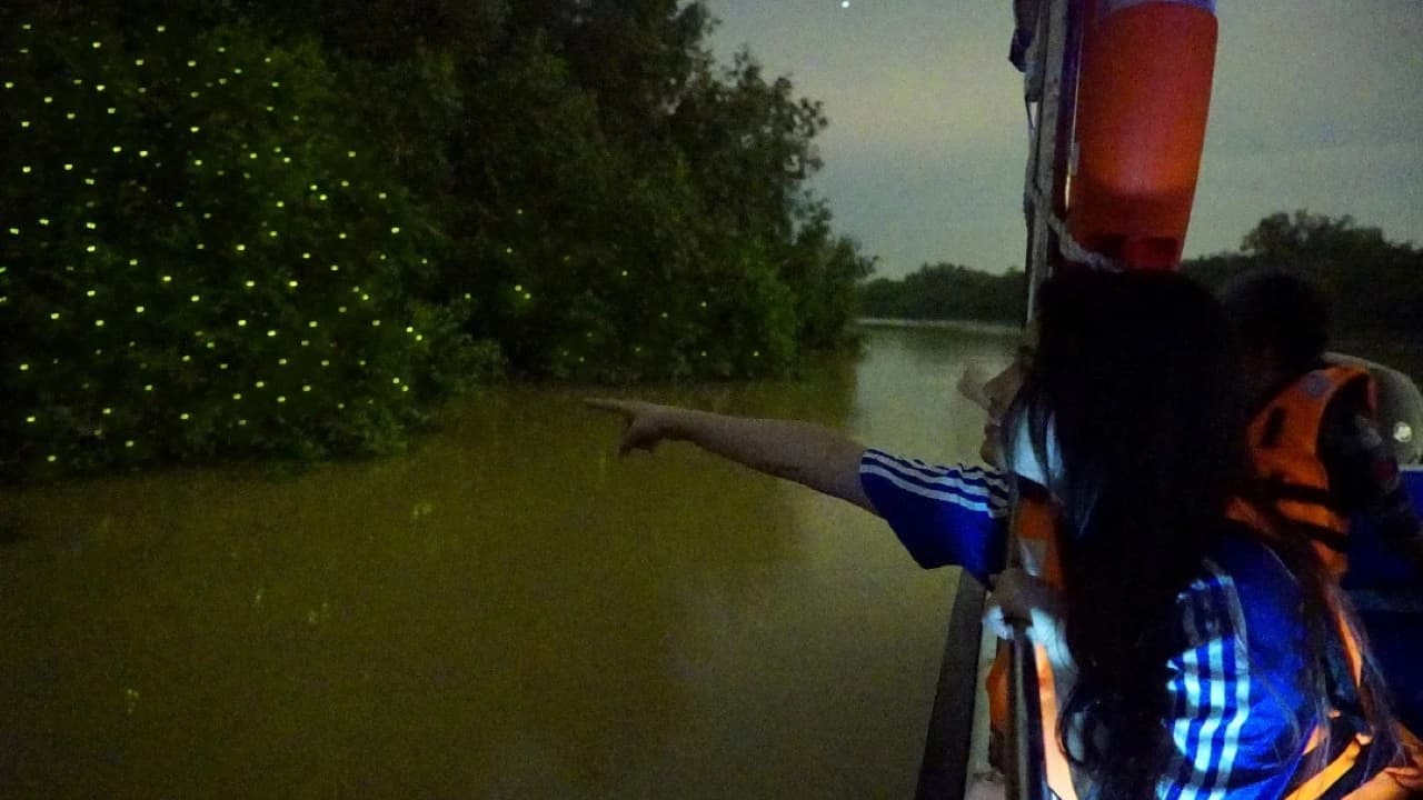 Fireflies Boat Cruise in Kuala Selangor - image 7