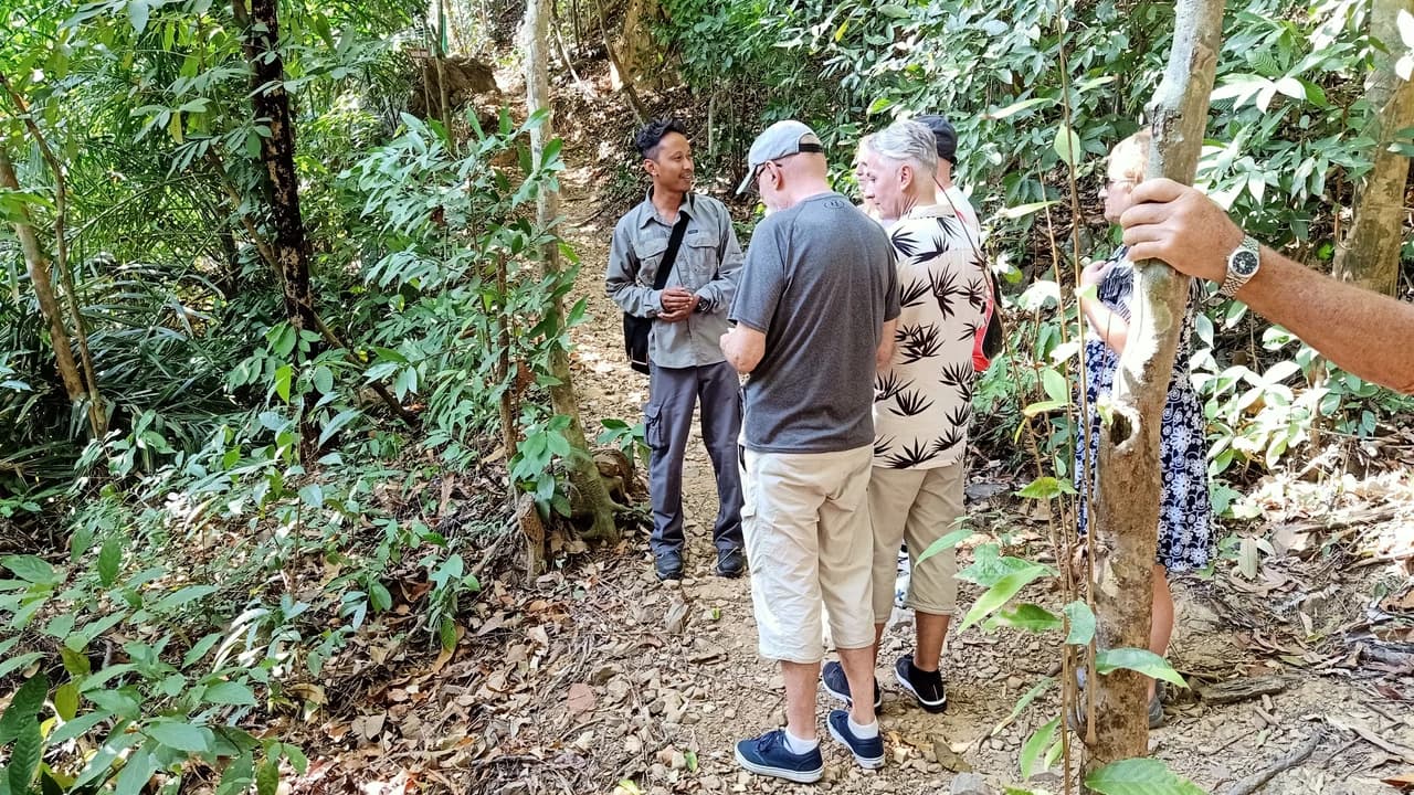 Langkawi Morning Rainforest Walking Tour - Photo 1