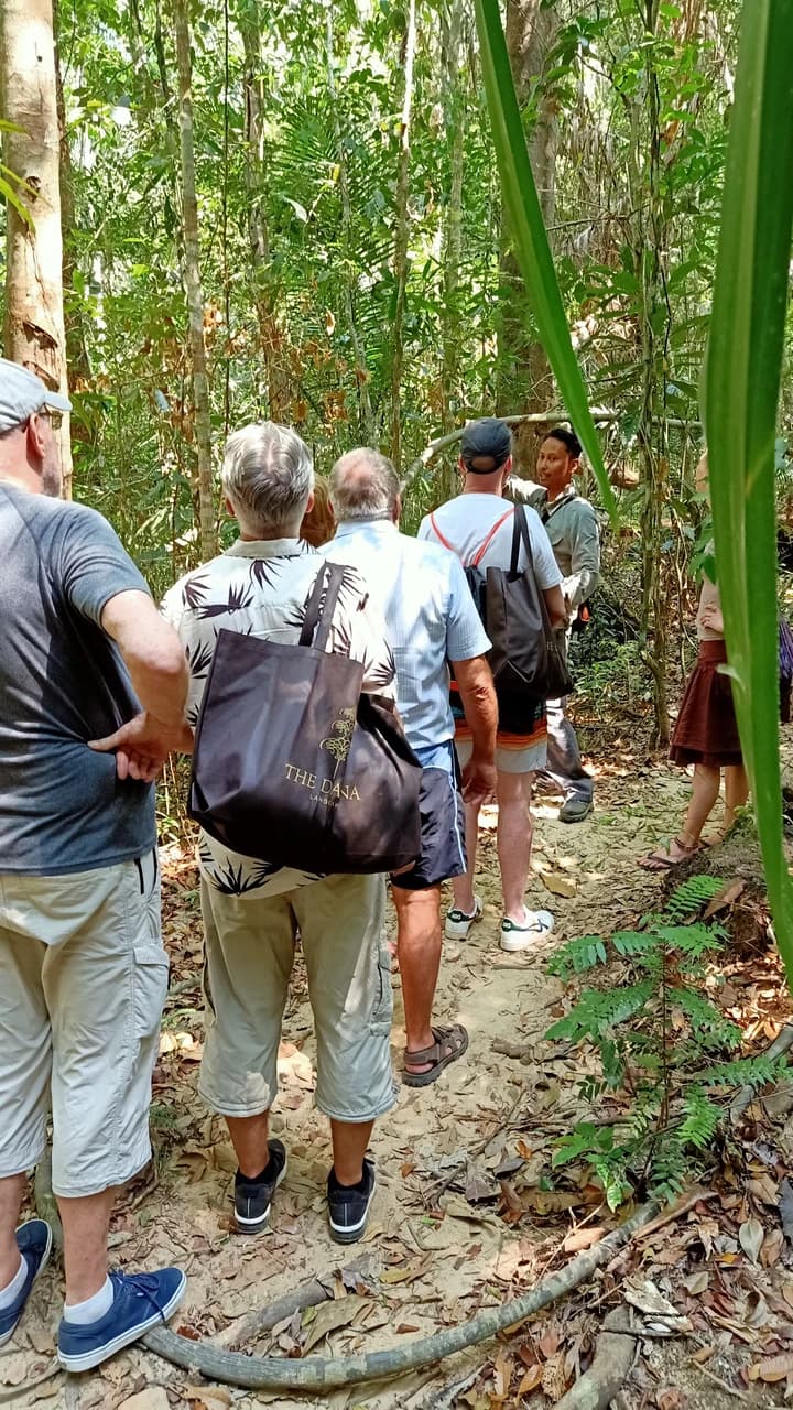Langkawi Morning Rainforest Walking Tour - image 8