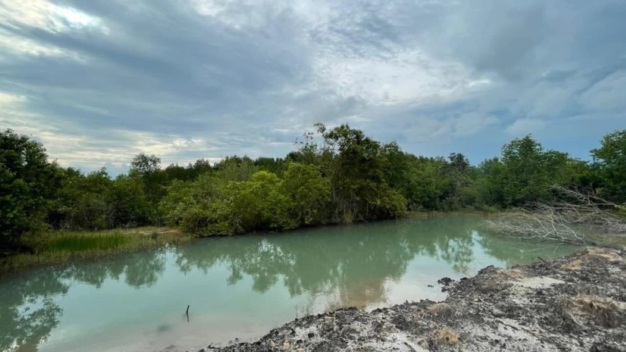 Langkawi Countryside Biking Tour - Photo 4
