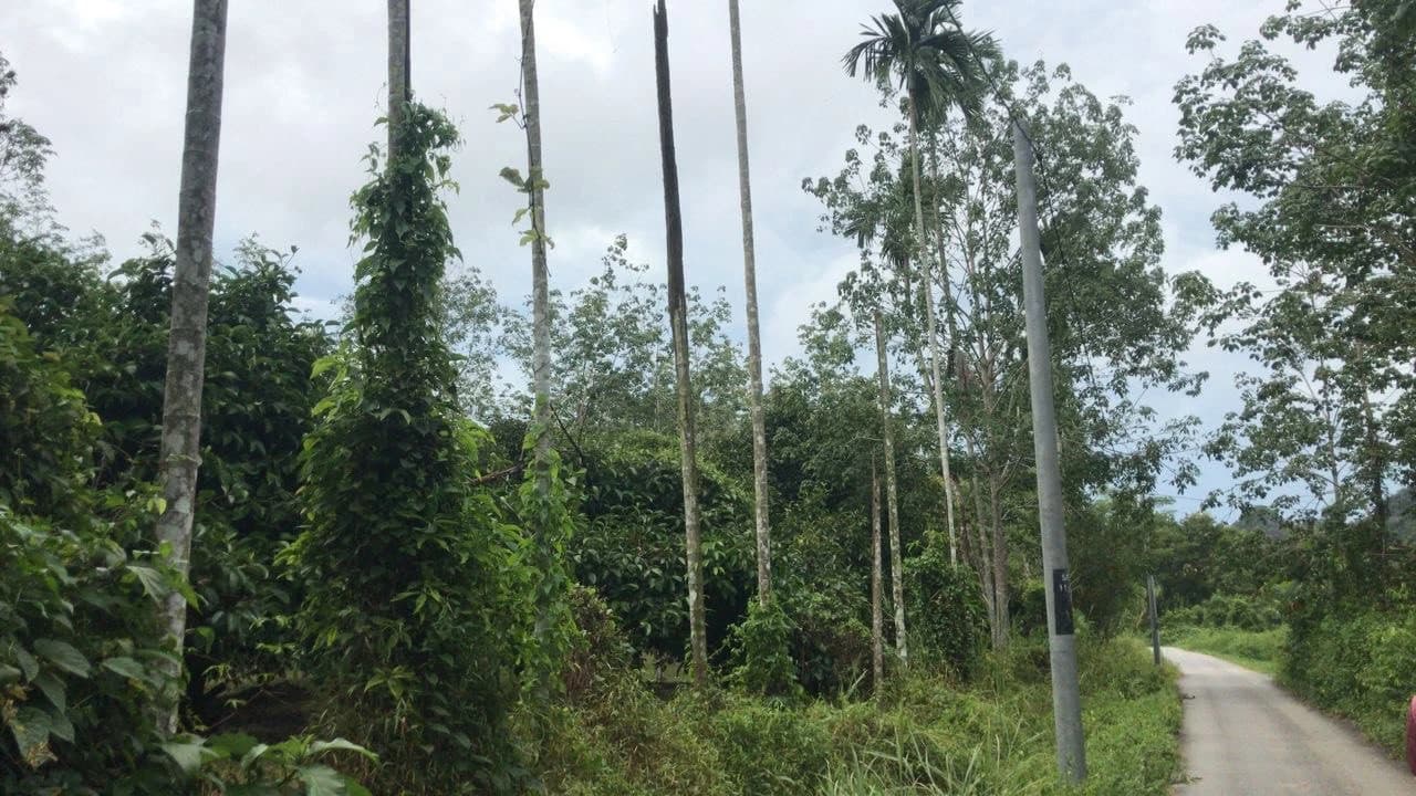 Langkawi Countryside Biking Tour - Photo 5