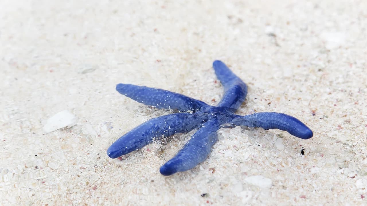 Desaru Beach and Tide Pool Walk - Photo 2