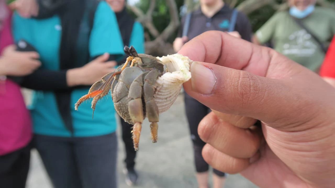 Desaru Beach and Tide Pool Walk - Photo 5