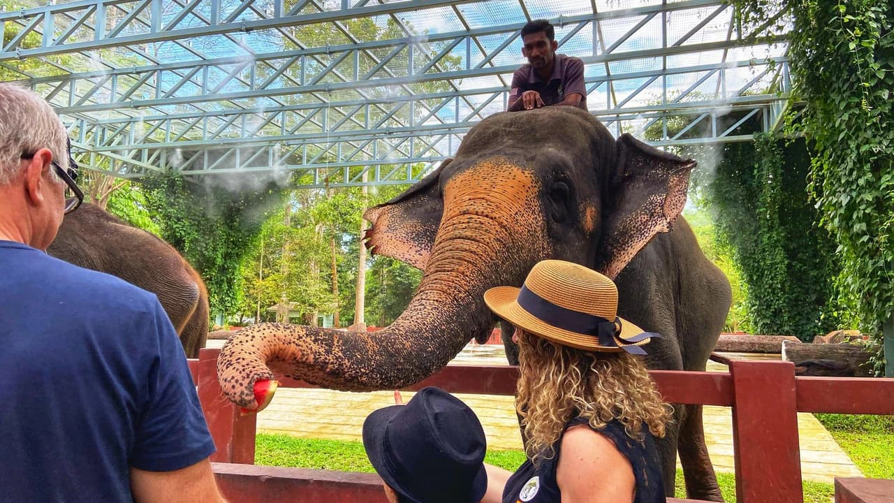 Batu Caves and Kuala Gandah Elephant Sanctuary Full-Day Tour from Kuala Lumpur - image 7