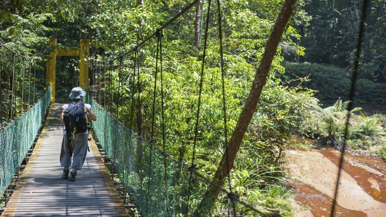 Taman Negara National Park Tour from Kuala Lumpur - Photo 1