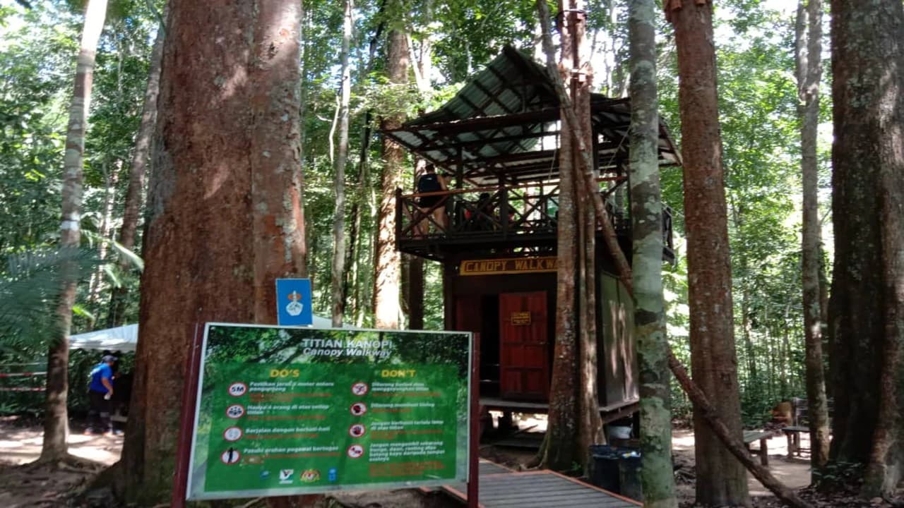 Taman Negara National Park Tour from Kuala Lumpur - Photo 2