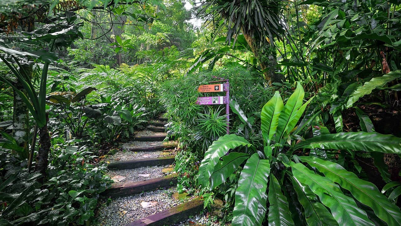 Tropical Spice Garden Penang - Photo 3