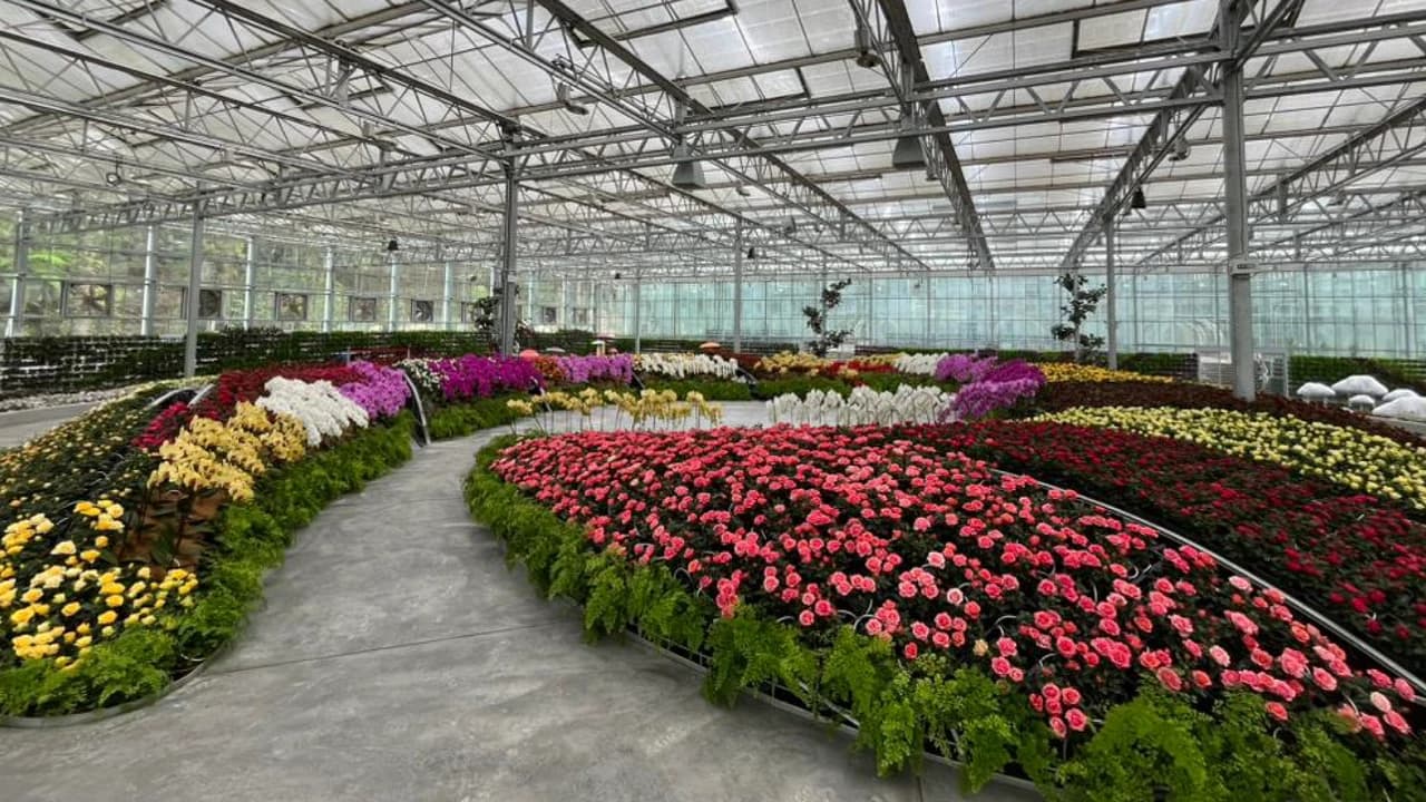 COMBO: Eufloria Gardens & Sculpture Park + Genting Skyway Tickets - Photo 1