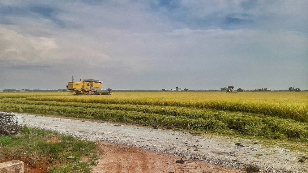 Sky Mirror and Sekinchan Paddy Field Tour from Kuala Lumpur - image 6