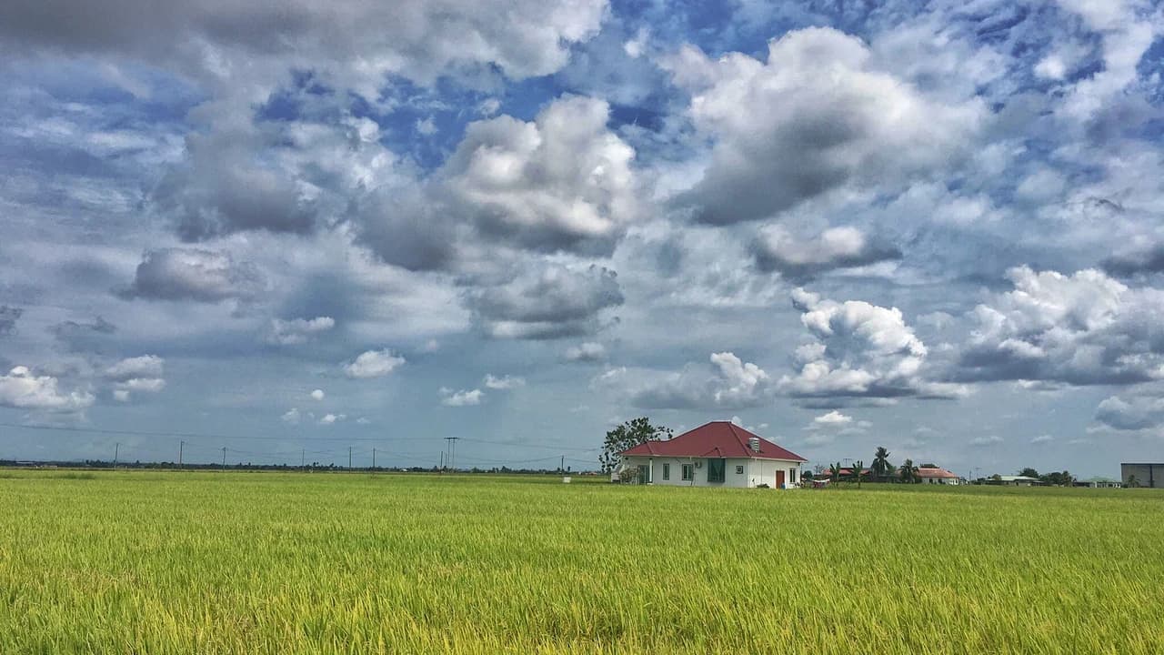 Sky Mirror and Sekinchan Paddy Field Tour from Kuala Lumpur - image 8