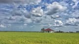 Sekinchan Paddy Fields and Fishing Village Tour from Kuala Lumpur - image 8
