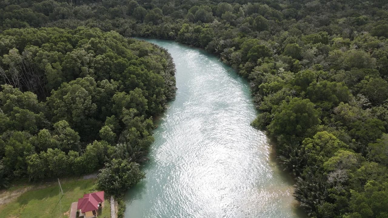 Lebam River Kayaking Adventure - Photo 1