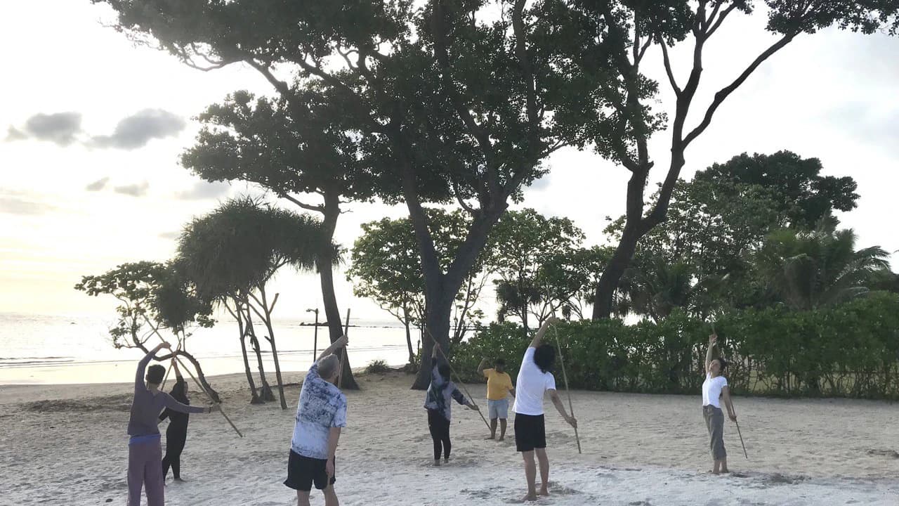 Traditional Dong Stick Workout - image 7