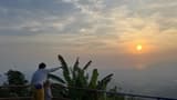 Langkawi Rainforest After Dark - image 7