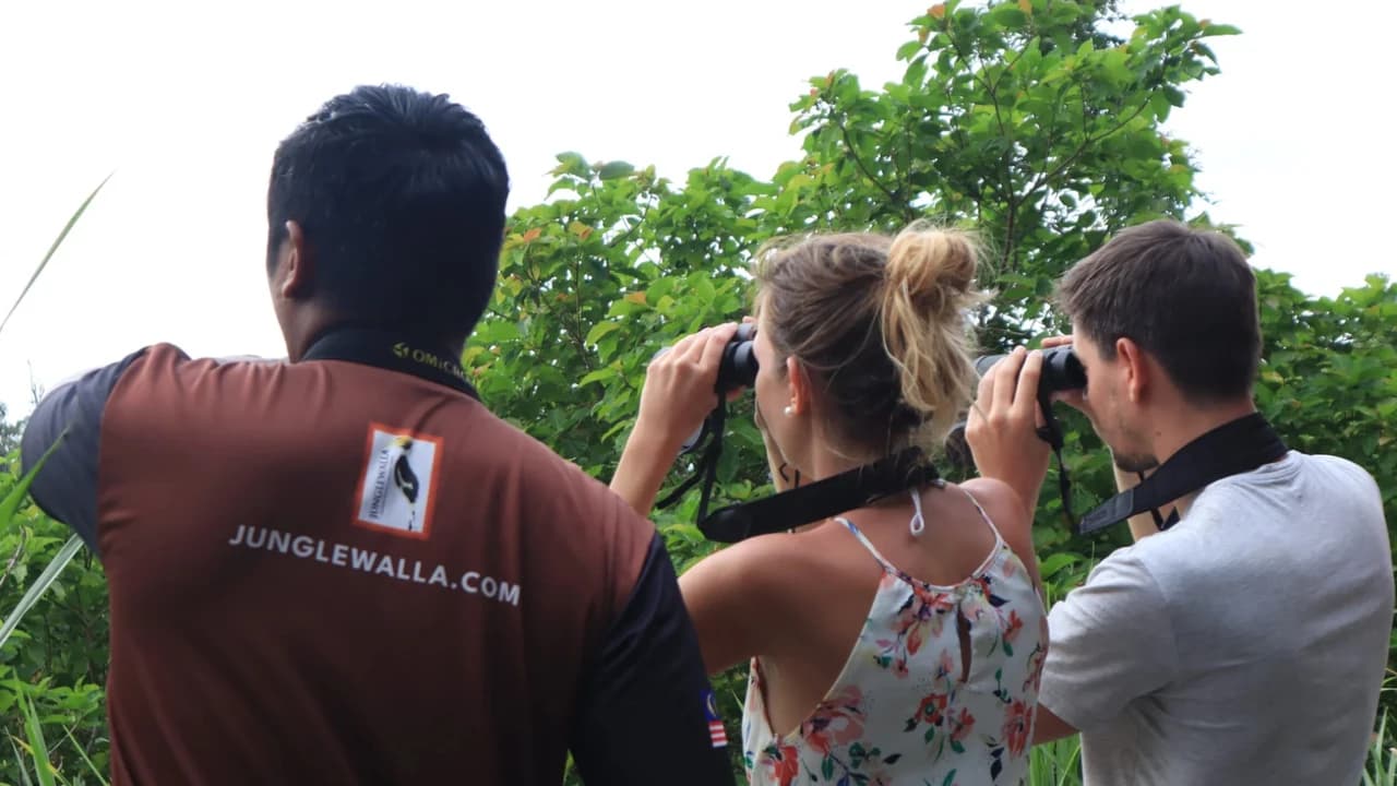 Langkawi Rainforest After Dark - Photo 2