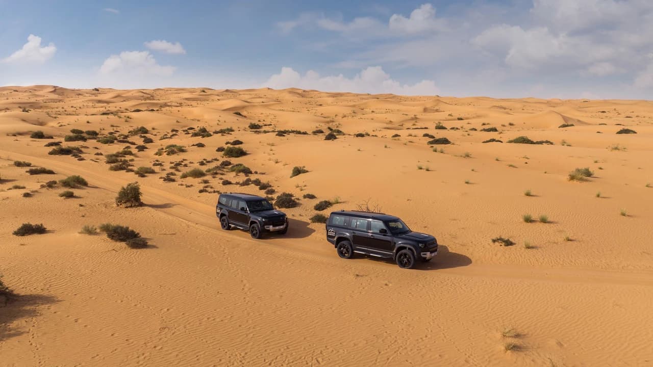 Conservation Drive & Breakfast at Al Maha - image 8