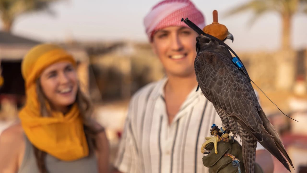 Heritage Morning Safari: Bedouin Culture - image 7