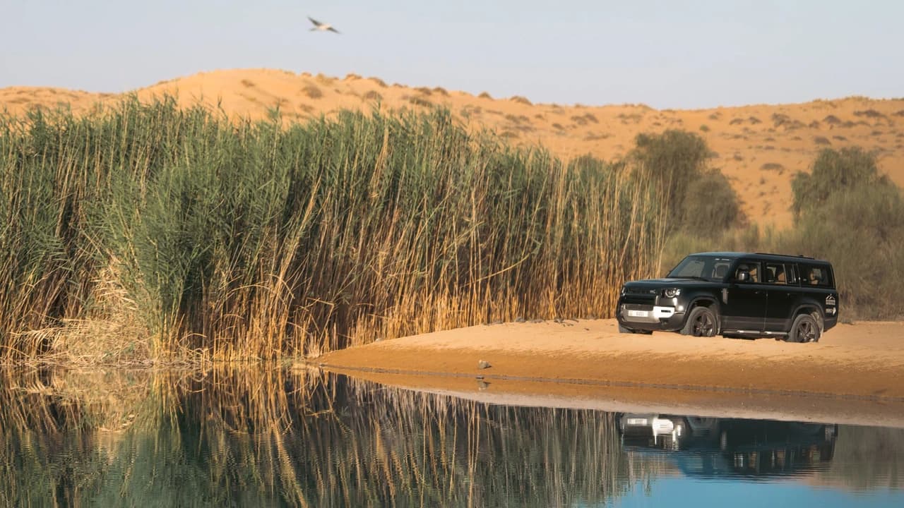 Royal Platinum Desert Experience - Photo 2