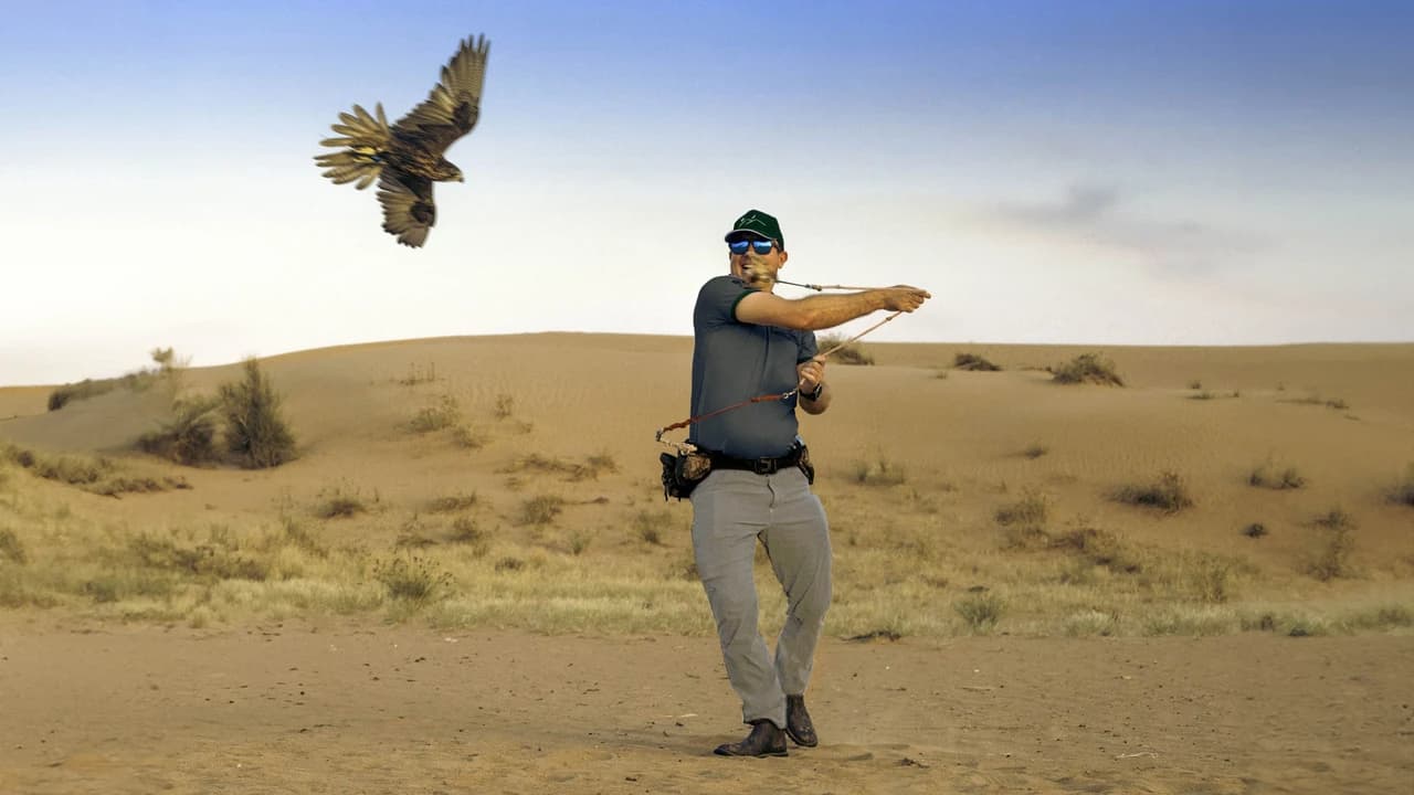 Royal Falconry Training & Nature Safari - image 7