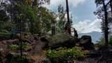 Taman Negara National Park Trekking Join-In Day Tour - image 7