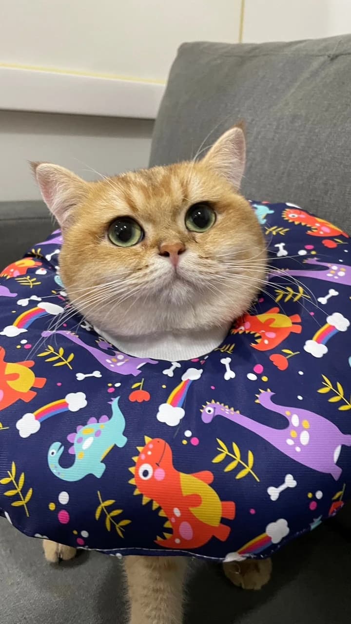 T&A conditional cxl test 2 - Photo 2