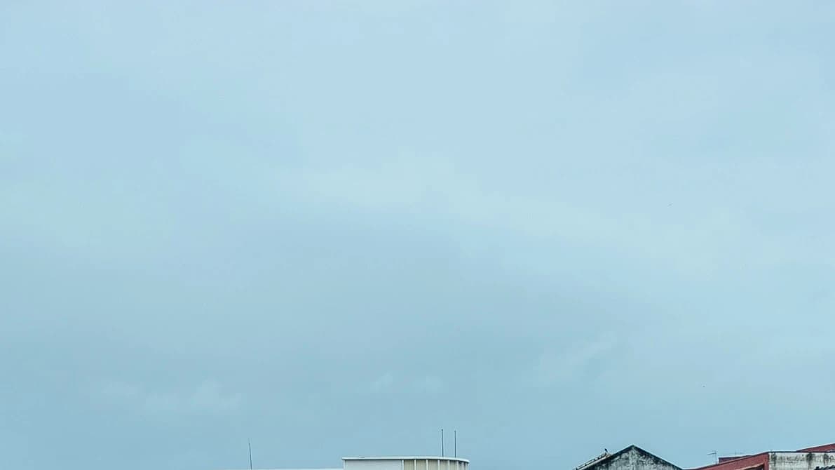 From Kuala Lumpur: Malacca River Cruise & Historical Tour with Lunch - image 8