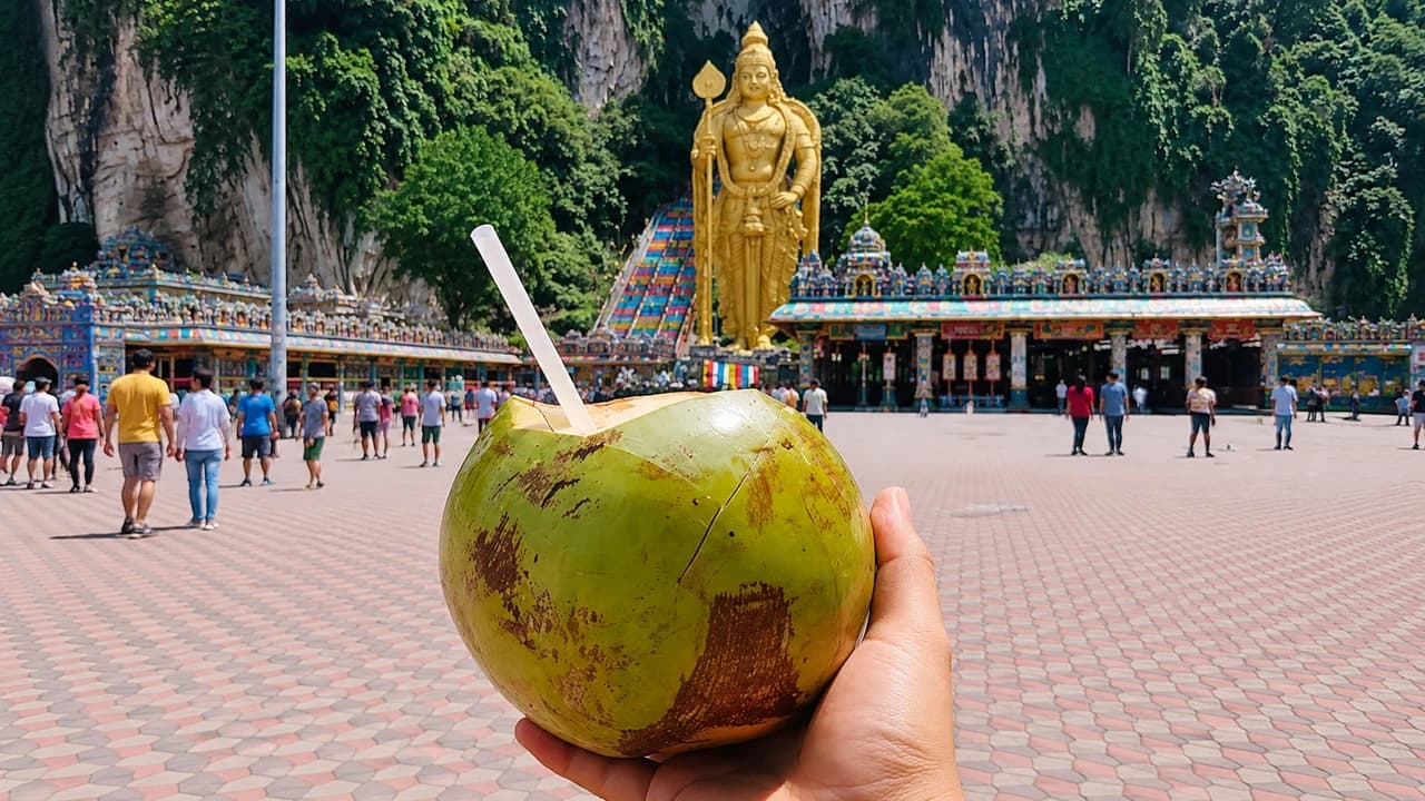 Kuala Lumpur Batu Caves Half-Day Tour with Coconut Water - Photo 1