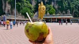 Kuala Lumpur Batu Caves Half-Day Tour with Coconut Water - image 6