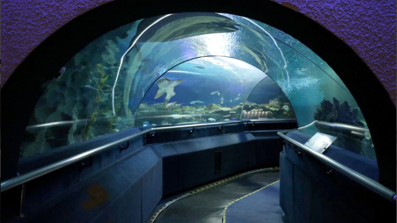Kuala Lumpur Aquaria KLCC & City Highlights Experience - Photo 1
