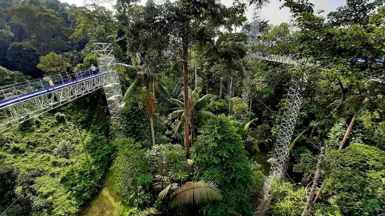 FRIM Forest Skywalk & ATV Full-Day Private Adventure - Photo 1