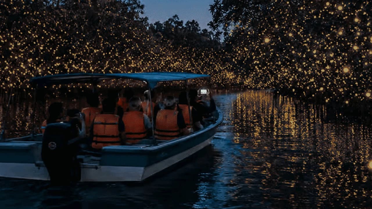 Kuala Lumpur Fireflies, Batu Caves & Malawati Hill Private Tour - Photo 1