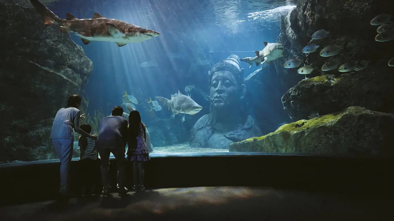 SEA LIFE Bangkok Ocean World Ticket - Photo 1