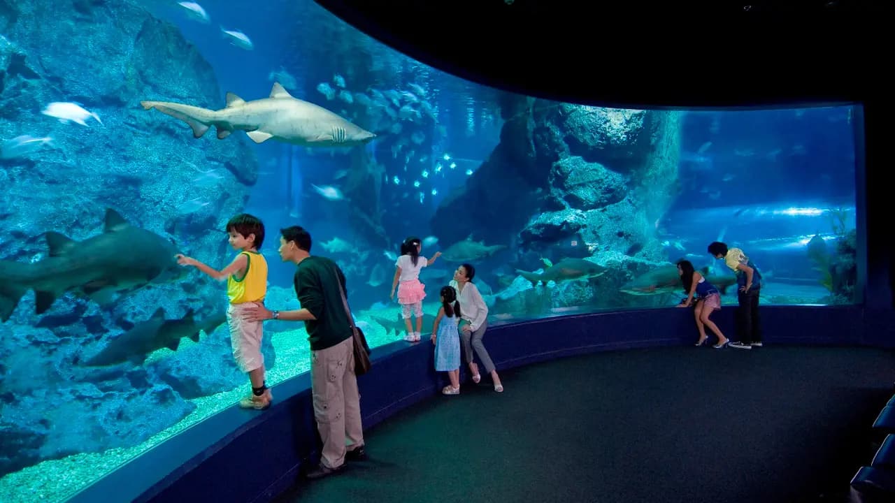 SEA LIFE Bangkok Ocean World Ticket - image 6