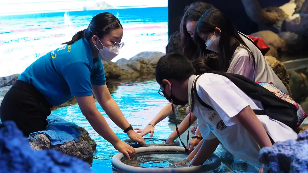 SEA LIFE Bangkok Ocean World Ticket - image 7