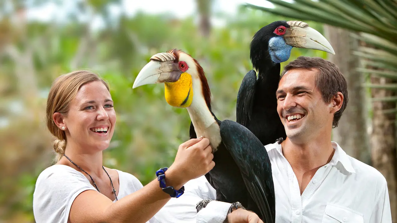 Bali Bird Park Ticket - Photo 1