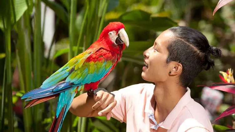 Bali Bird Park Ticket - Photo 4