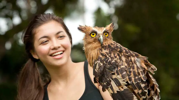 Bali Bird Park Ticket - image 7