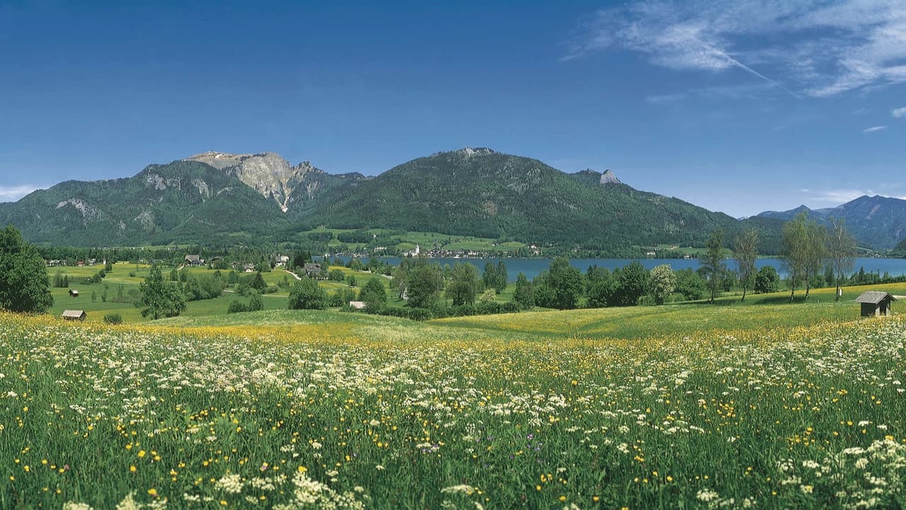 Original Sound of Music Tour - Photo 2