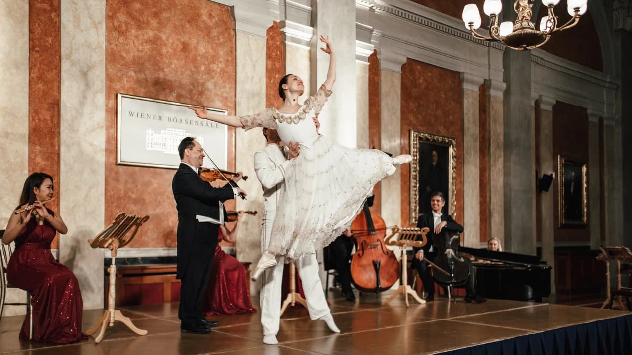 Vienna Residence Orchestra at Borse Palace Ticket - Photo 3