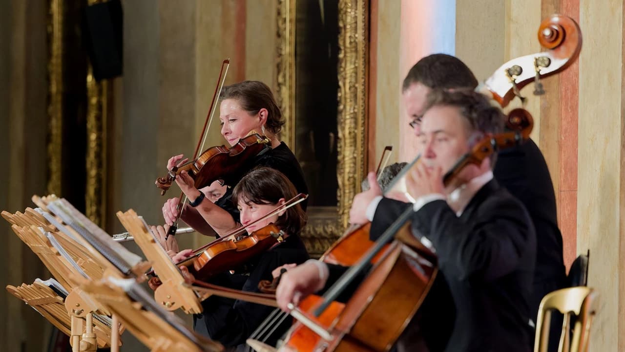 Vienna Residence Orchestra at Borse Palace Ticket - Photo 5