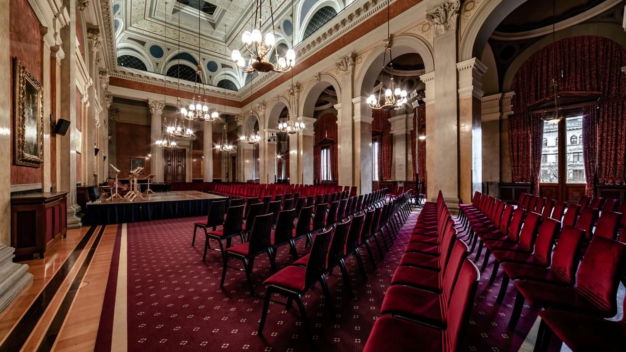 Vienna Residence Orchestra at Borse Palace Ticket - image 6