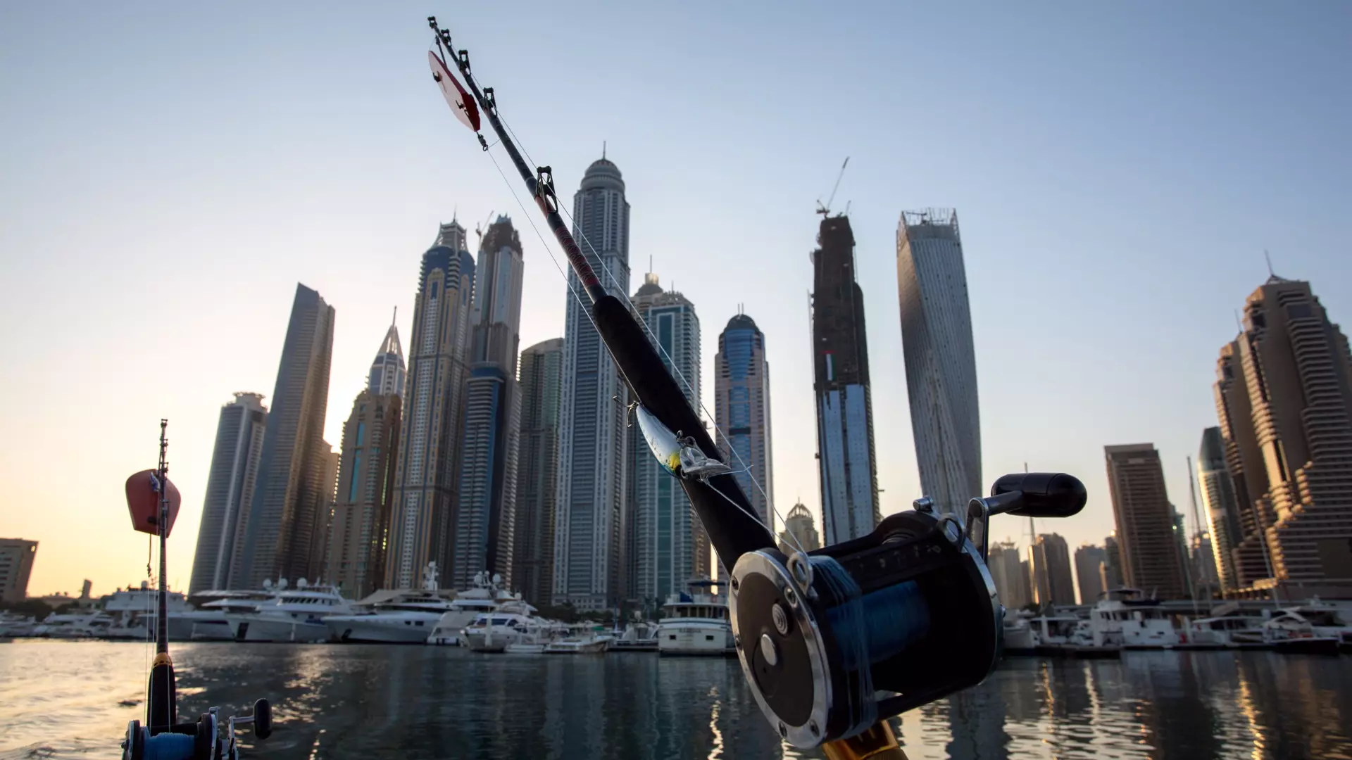 Deep Sea Fishing in Abu Dhabi - Photo 20