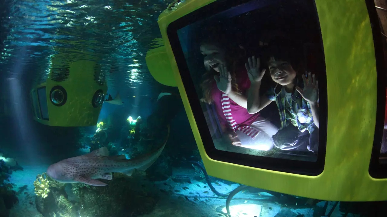 LEGOLAND Dubai Theme Park - Photo 25