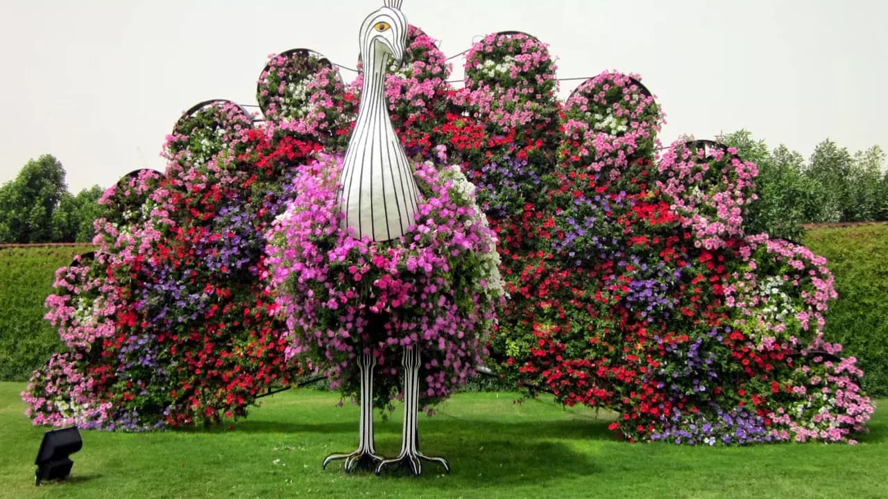 Dubai Miracle Garden - Photo 2
