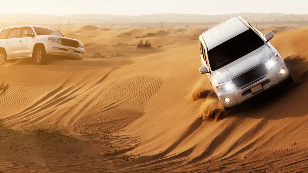 Desert Safari in Dubai + Red Sands Camp - Photo 28