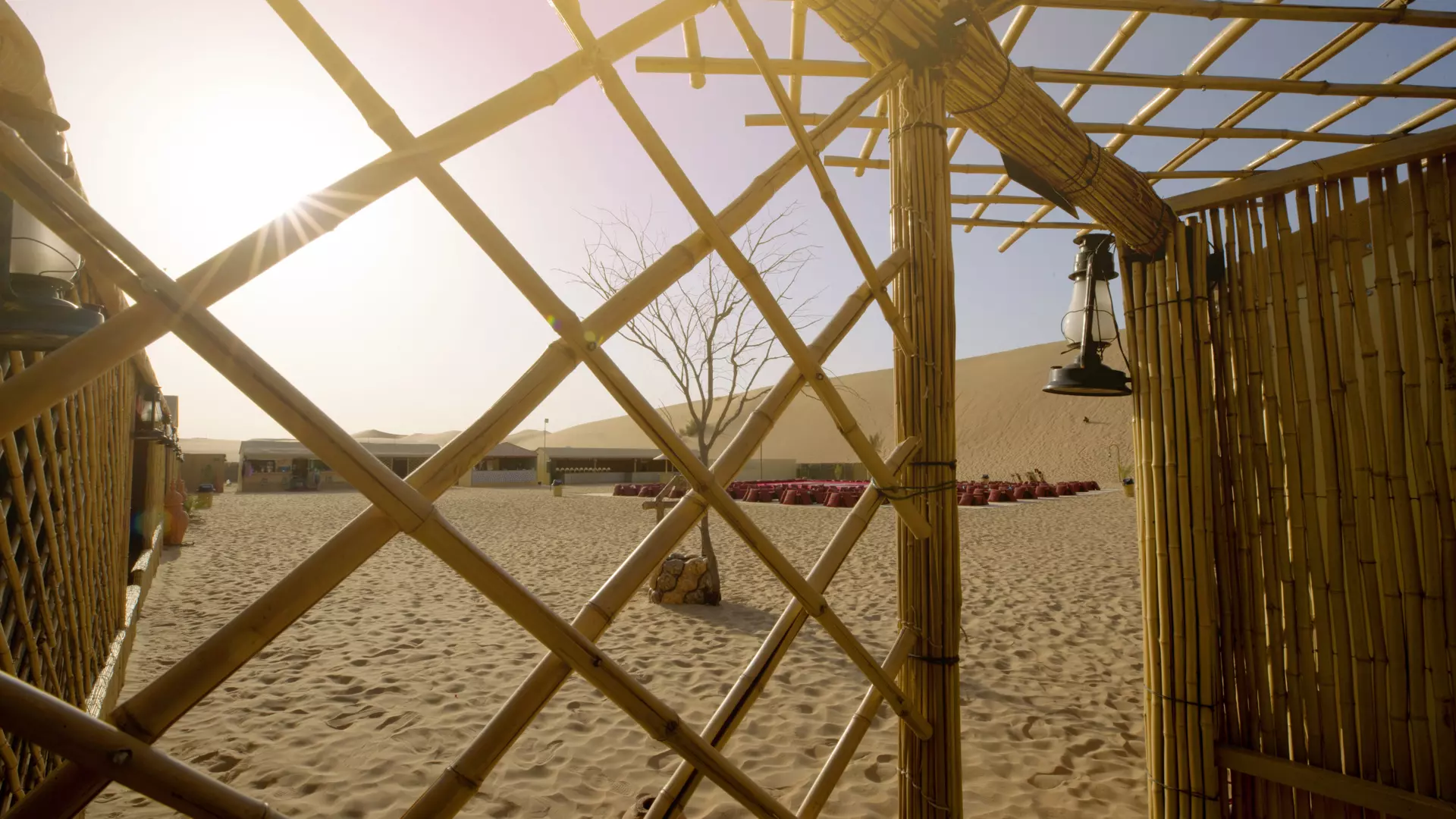 Desert Safari in Abu Dhabi - Photo 35