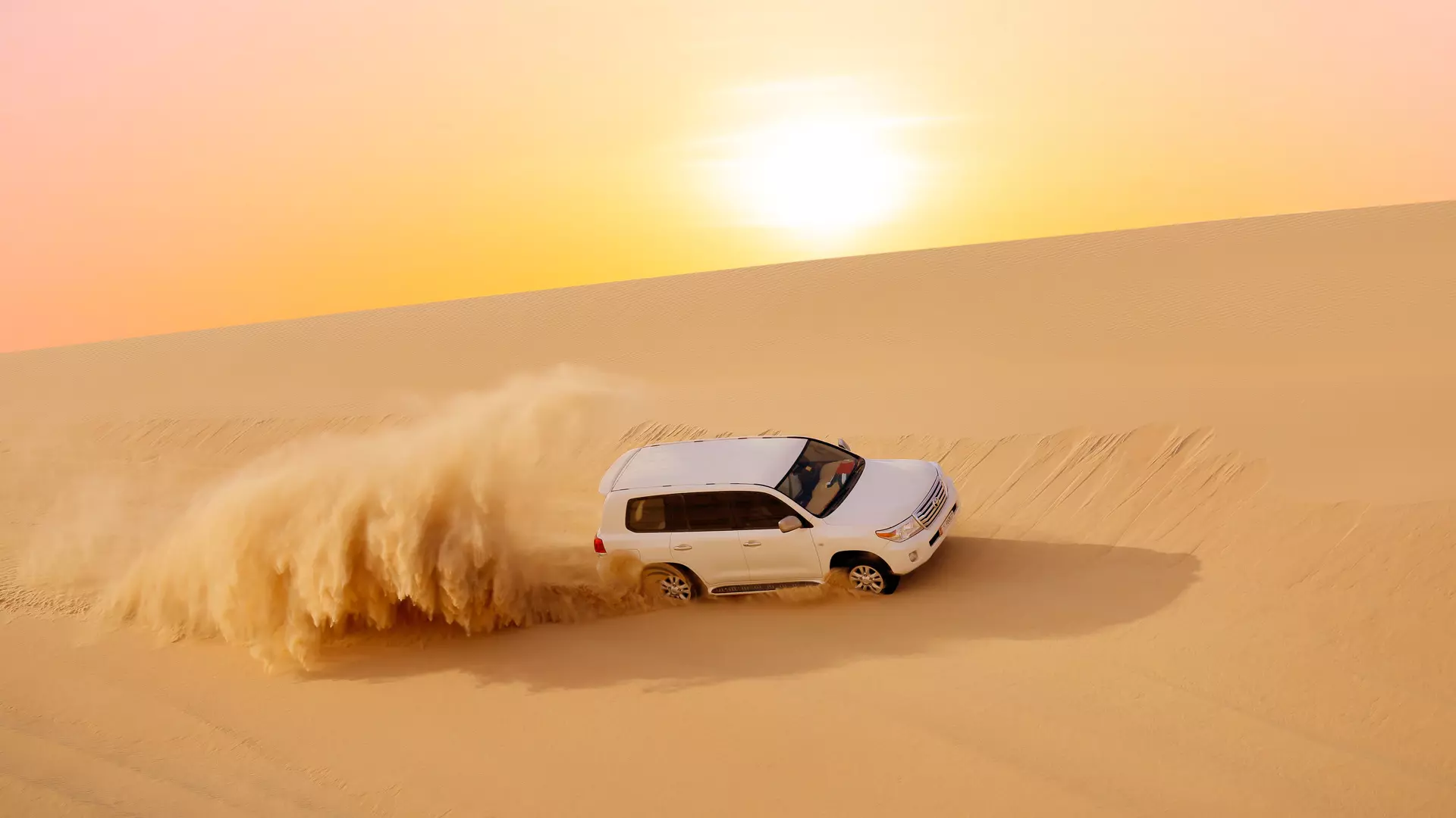 Desert Safari in Abu Dhabi - Photo 42