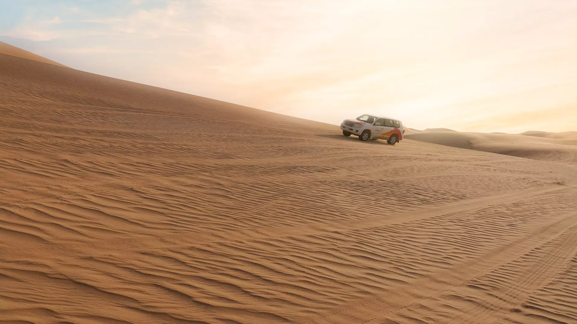Desert Safari in Abu Dhabi - Photo 57