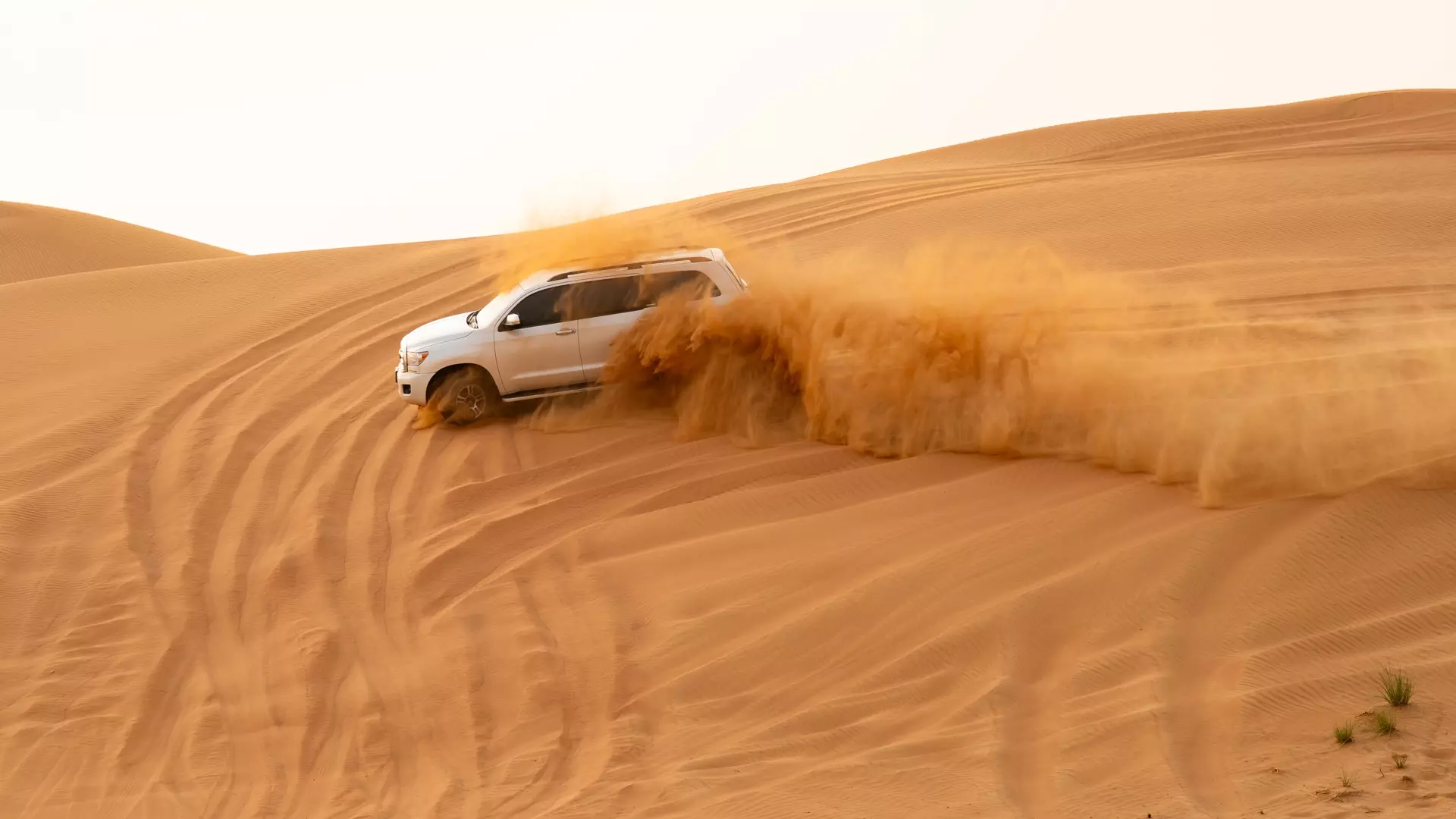 Desert Safari in Ras Al-Khaimah & Fujeirah - Photo 27